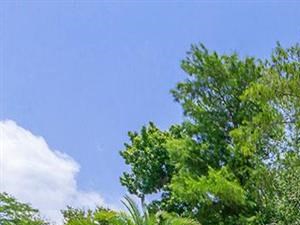 Lake Forest Apartments, 600 Jimmy Ann Drive, Daytona Beach, FL - RENTCafé